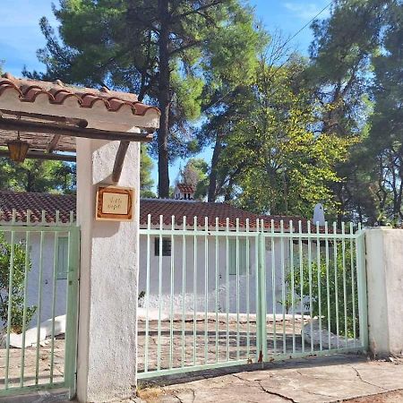 Villa Nefeli Sani  ภายนอก รูปภาพ