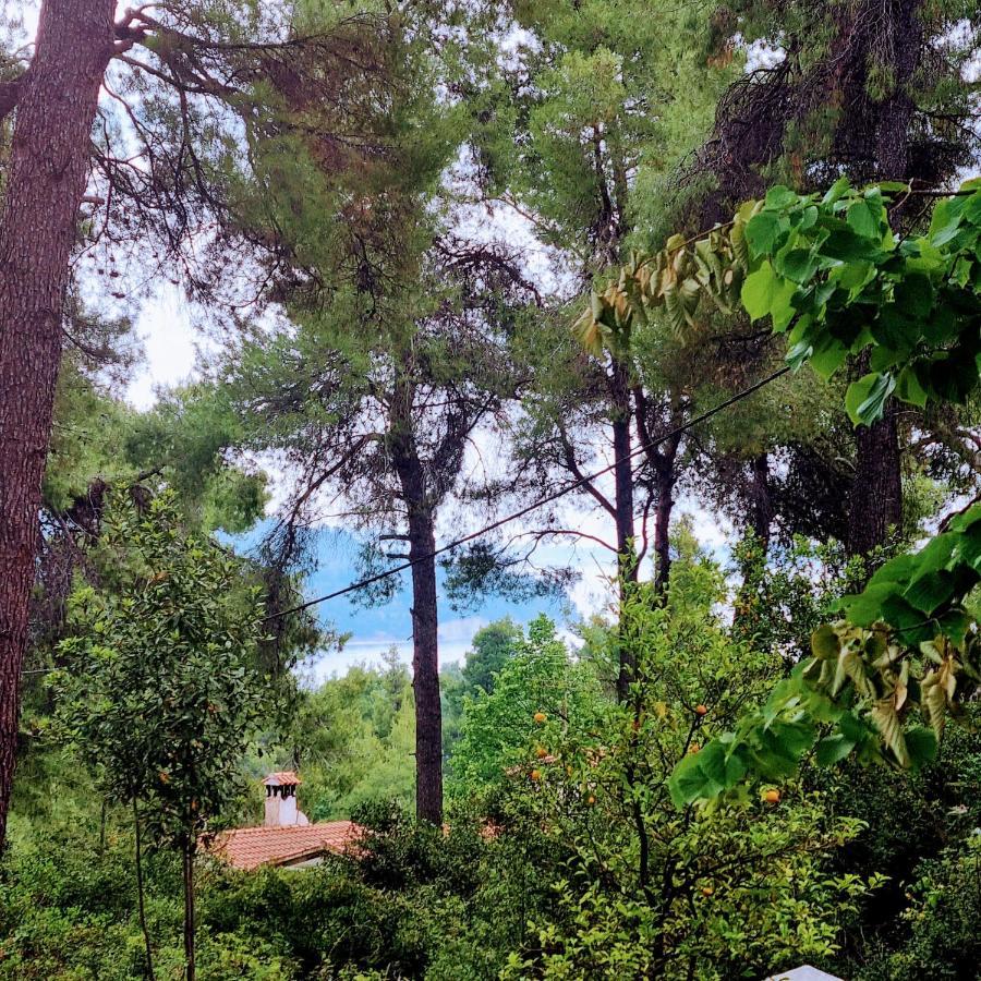 Villa Nefeli Sani  ภายนอก รูปภาพ